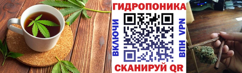 Canna-Cookies конопля hydra сайт Суздаль цены