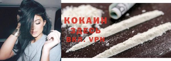дживик Лагань