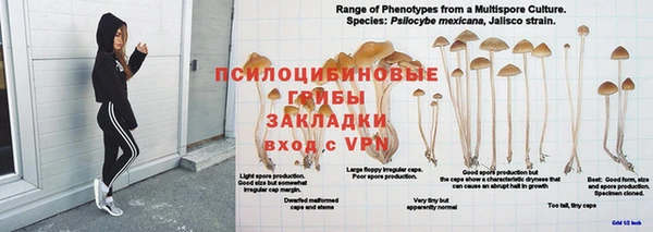 гидра Печоры