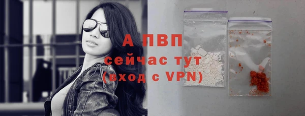 гидра Печоры