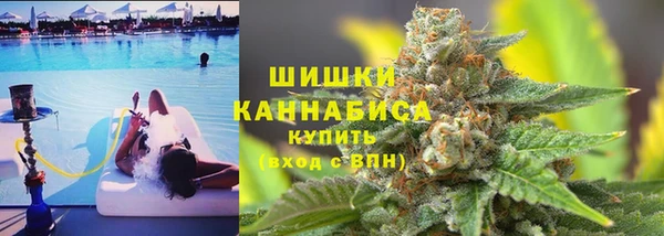 тгк Пионерский