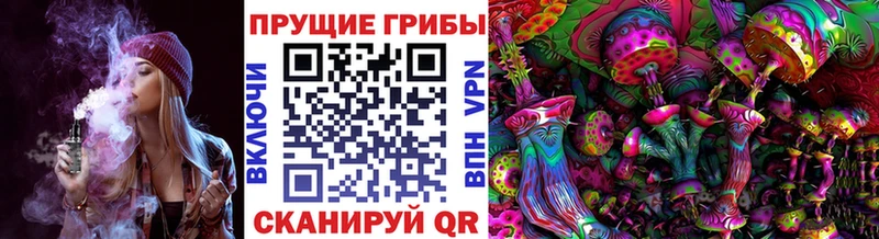 Псилоцибиновые грибы ЛСД  Суздаль 
